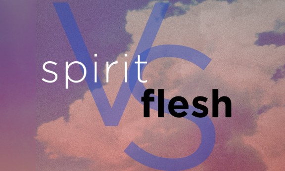 Image result for spirit vs flesh